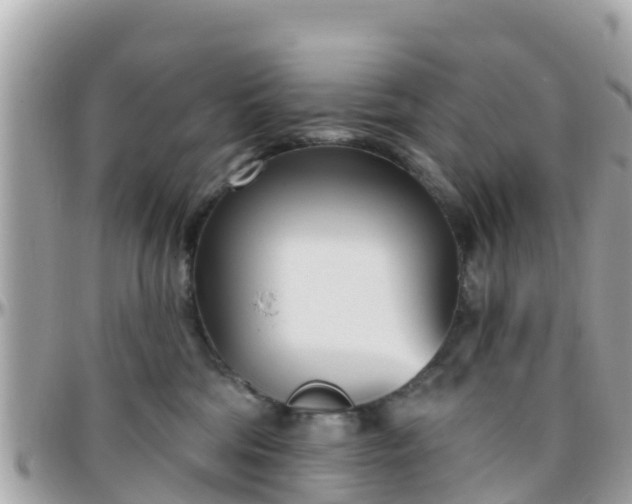 X0000096210330200801251040