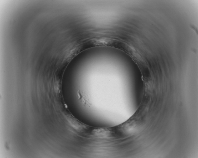 X0000096210331200801251040