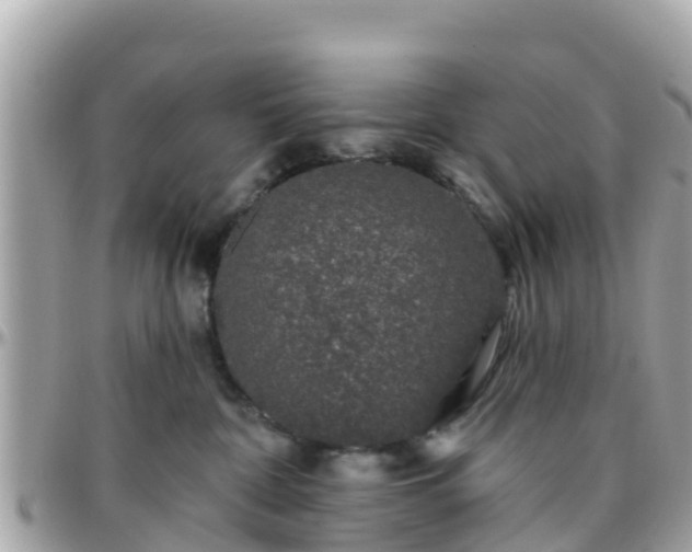 X0000096210332200801251040