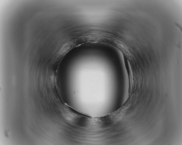 X0000096210333200801251040