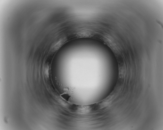 X0000096210334200801251040