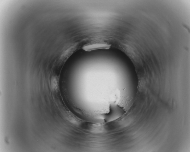 X0000096210335200801251040