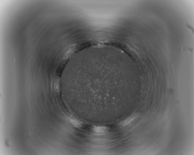 X0000096210336200801251040