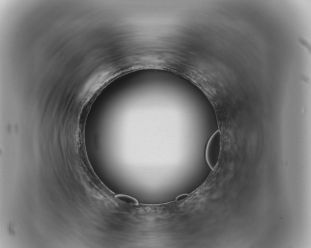 X0000096210338200801251039