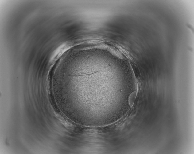 X0000096210339200801251039