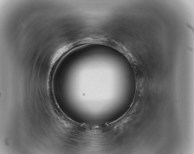 X0000096210340200801251039