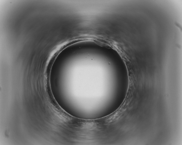 X0000096210342200801251039