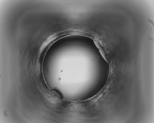 X0000096210343200801251039