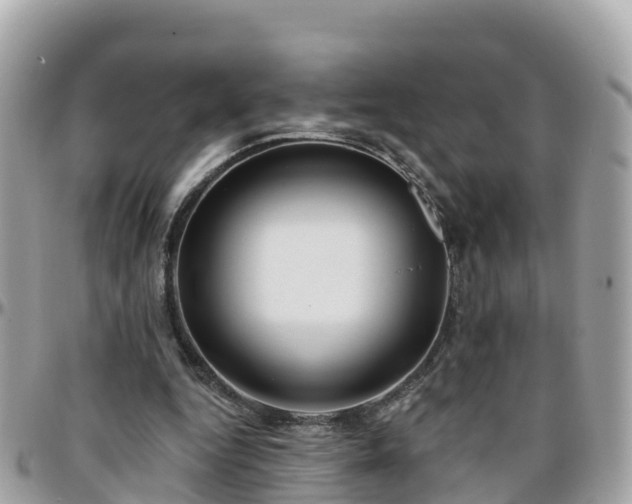 X0000096210344200801251039