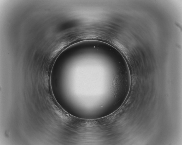 X0000096210345200801251039