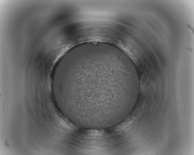 X0000096210347200801251039