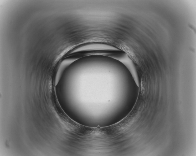 X0000096210348200801251039