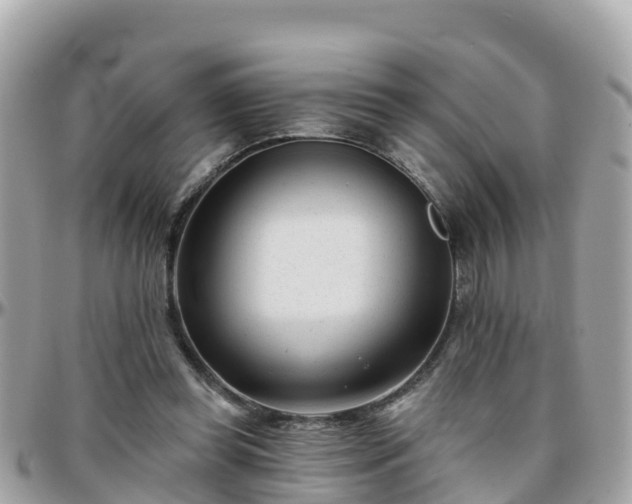 X0000096210349200801251039