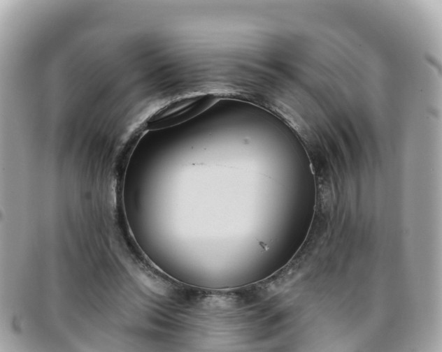 X0000096210350200801251039