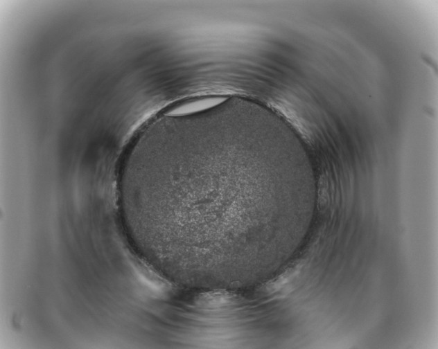 X0000096210351200801251039