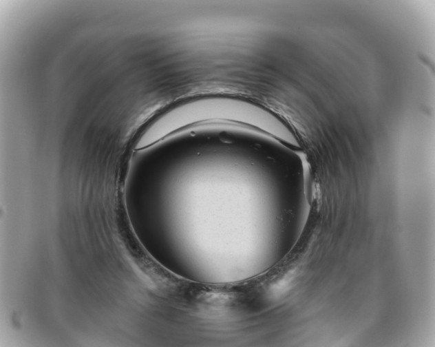 X0000096210352200801251039