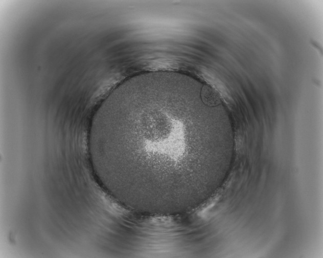 X0000096210353200801251039