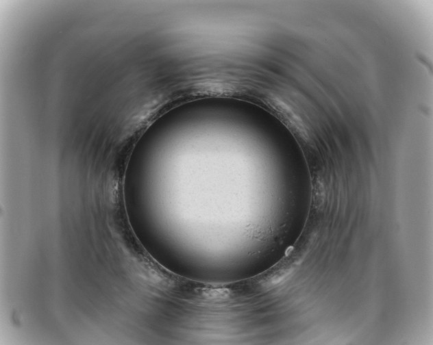 X0000096210355200801251039