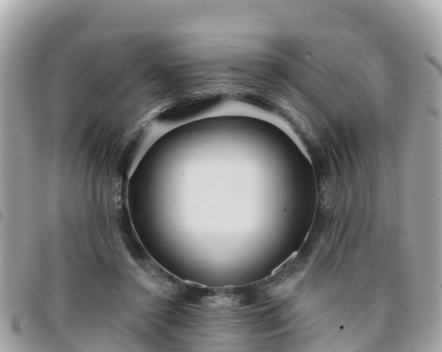 X0000096210356200801251039