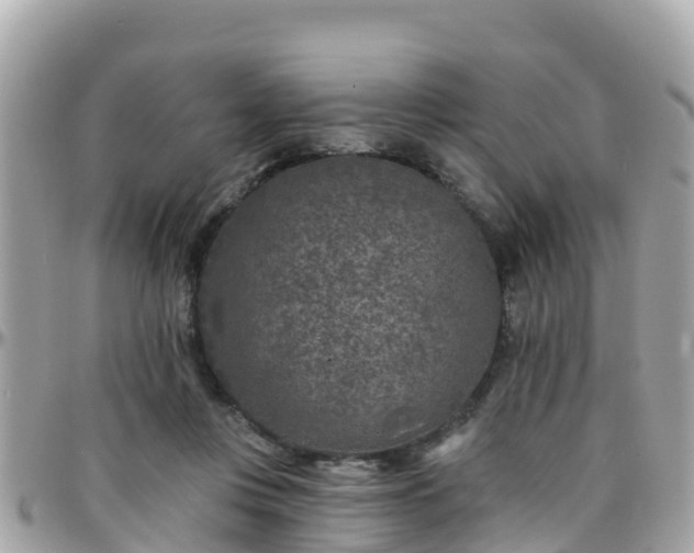 X0000096210359200801251039