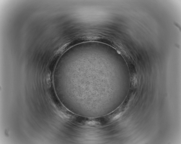 X0000096210360200801251039