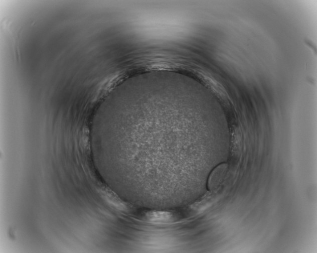 X0000096210361200801251039