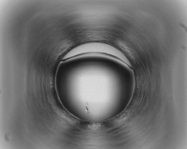 X0000096210362200801251039