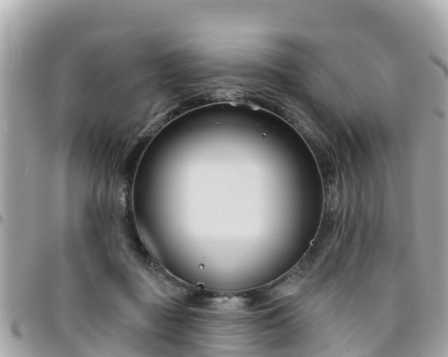 X0000096210363200801251039