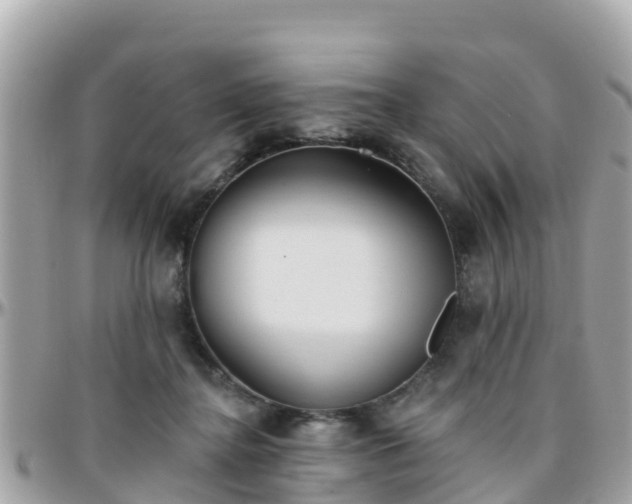 X0000096210364200801251039