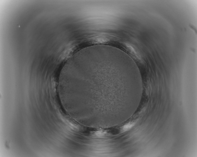 X0000096210366200801251039