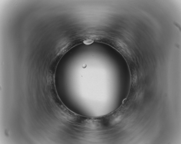 X0000096210367200801251039