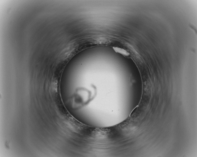 X0000096210368200801251039