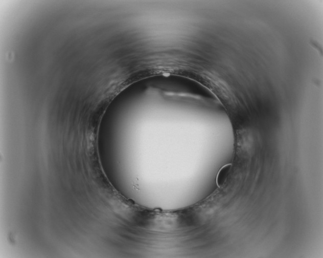 X0000096210369200801251039