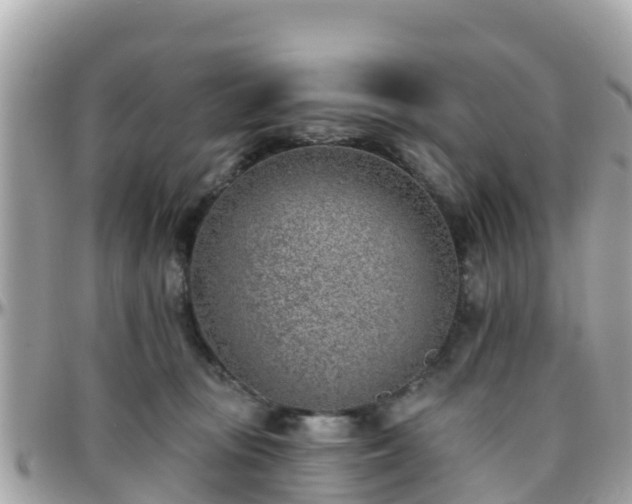 X0000096210371200801251039