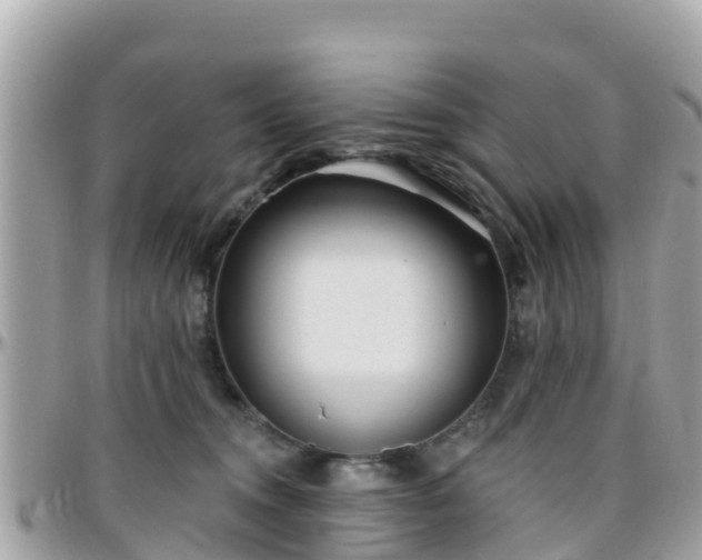 X0000096210372200801251039