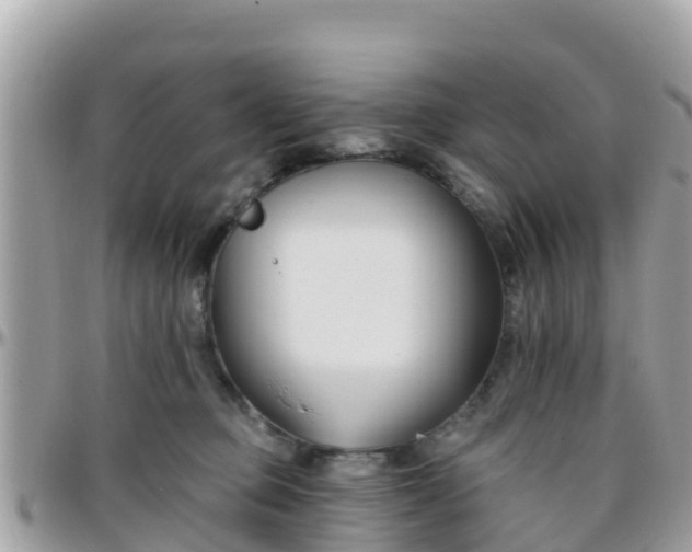 X0000096210373200801251039