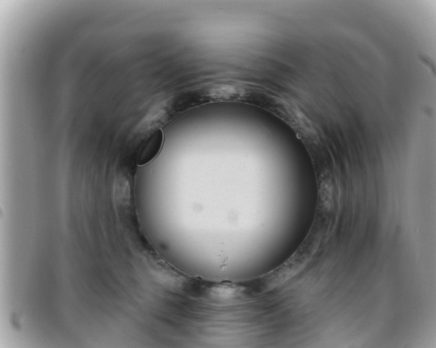 X0000096210375200801251040