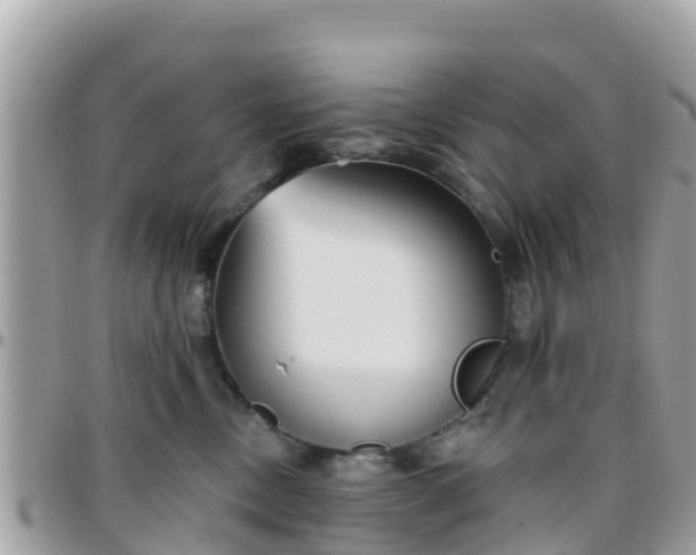 X0000096210378200801251040