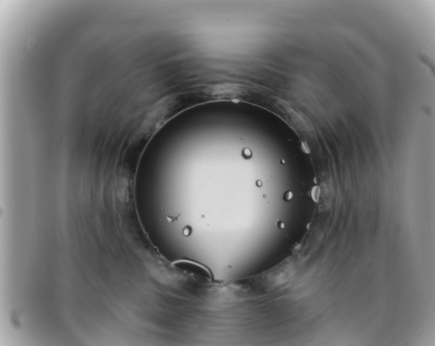 X0000096210379200801251040