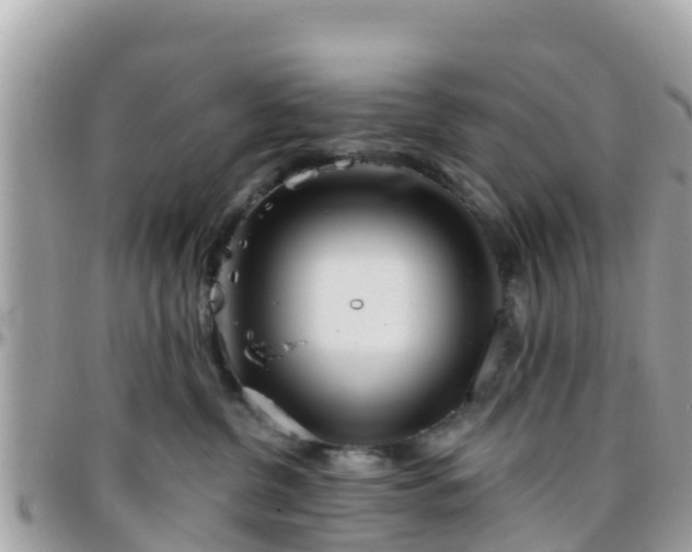 X0000096210380200801251040