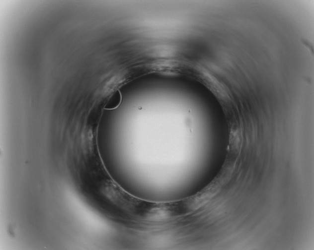 X0000096210381200801251040