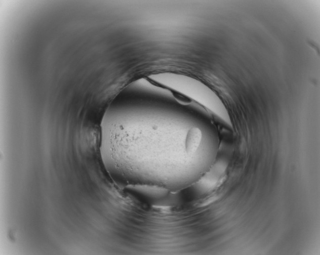 X0000096210382200801251040