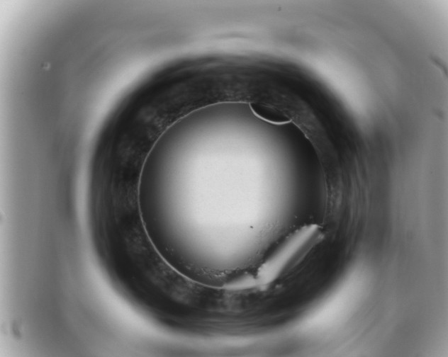 X0000096210383200801251040