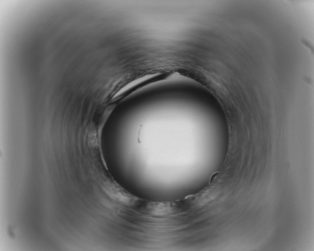 X0000096210384200801251040