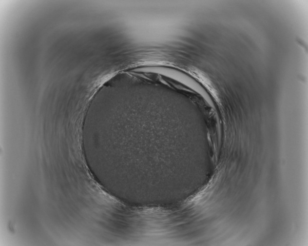 X0000096210385200801251039