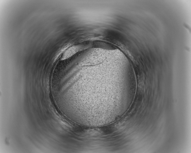 X0000096210386200801251039