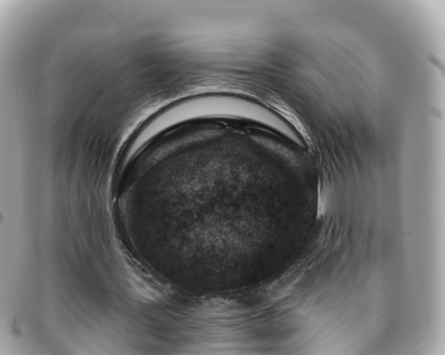 X0000096210387200801251039