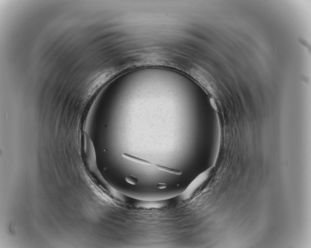 X0000096210389200801251039