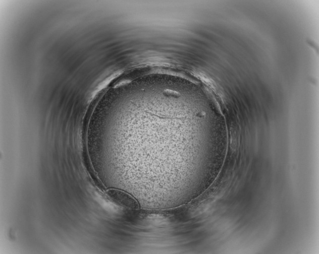 X0000096210390200801251039