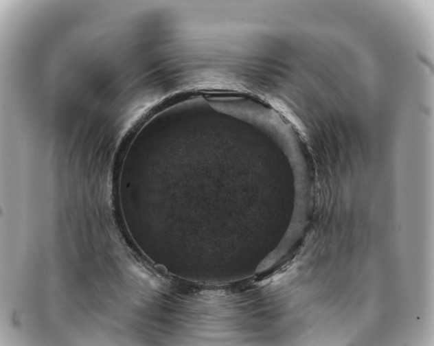 X0000096210391200801251039